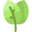 Aloha Labs logo